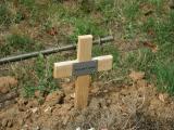 image of grave number 85788